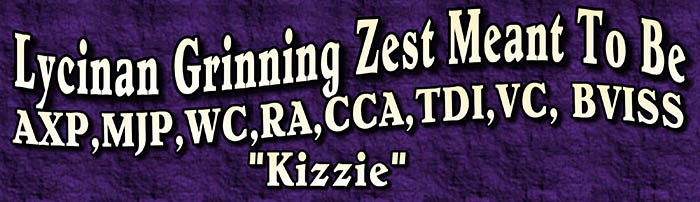 zest golden retrievers kizzie title
